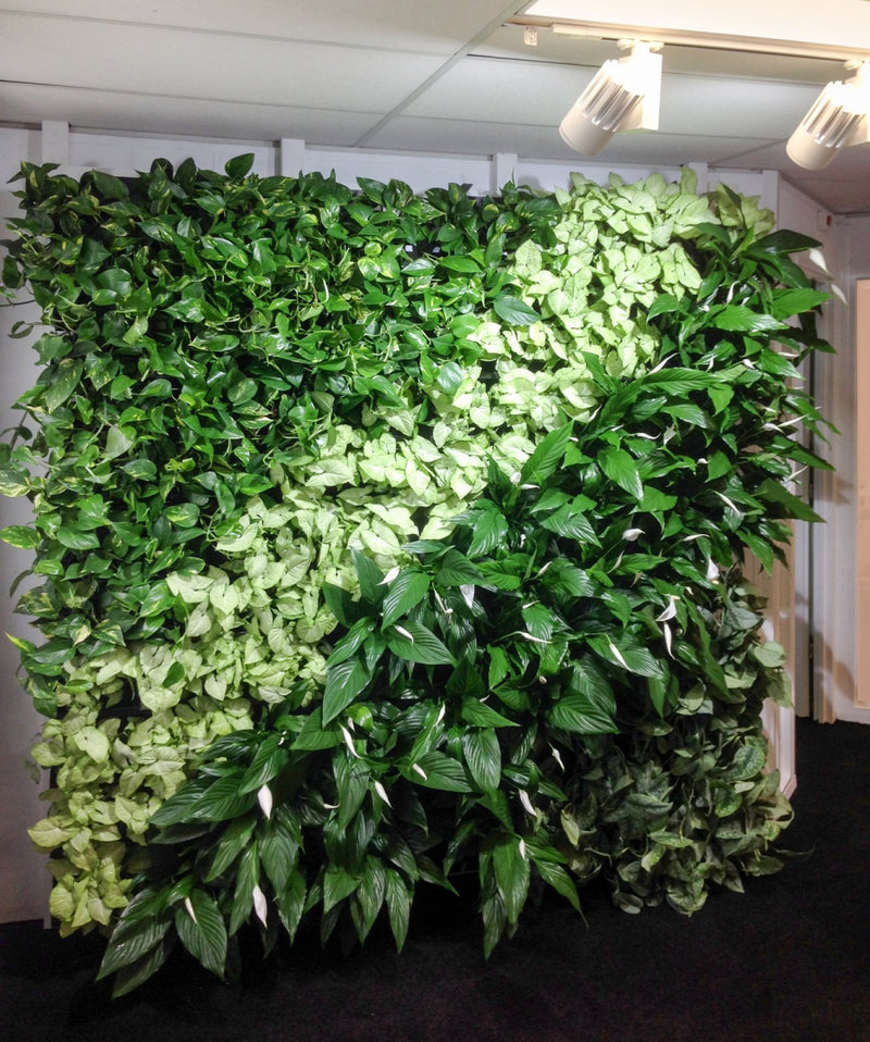 Office Space Installations