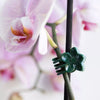 Decorative Plant & Flower Clips Pack of 10