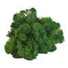 Forest Green Reindeer Moss 1kg