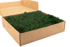 Forest Green Reindeer Moss 1kg
