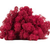 Fuchsia Reindeer Moss 1kg
