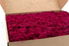Fuchsia Reindeer Moss 1kg