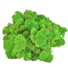 Light Green Reindeer Moss 500g