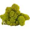 Lime Green Reindeer Moss 1kg