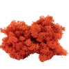 Orange Reindeer Moss 1kg