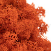 Orange Reindeer Moss 500g