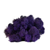 Purple Reindeer Moss 1kg