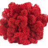 Red Reindeer Moss 1kg