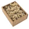 Cream Reindeer Moss 500g