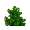 Nature Green Reindeer Moss 1kg