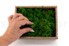 Nature Green Reindeer Moss 1kg