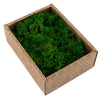 Nature Green Reindeer Moss 1kg