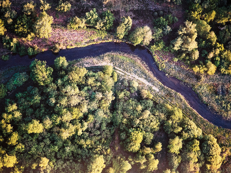 image of river and forest that inspired moss art work