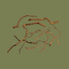 AquaOne Natural Azalea Wood Decor Bag 100g