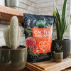 Westland Cacti & Succulent Potting Mix Peat Free 4L